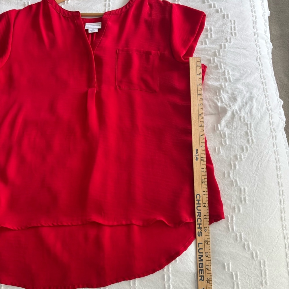 Liz Claiborne Scarlet V-Neck Sheer Blouse - Picture 9 of 9